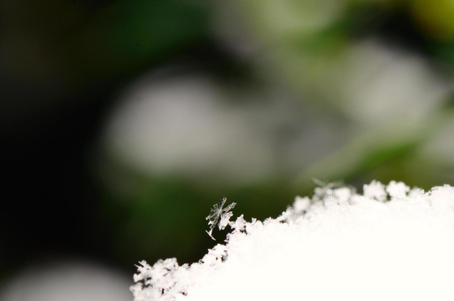 pequeños cristales de nieve con fondo verde foto
