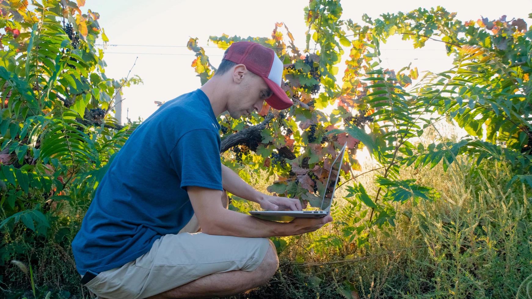 joven agricultor trabaja en el viñedo en un día soleado de verano foto