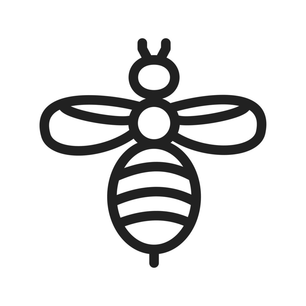 Honey Bee Icon vector