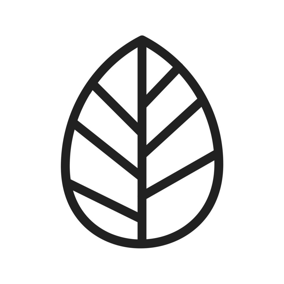 Autumn Leaf Line Icon vector