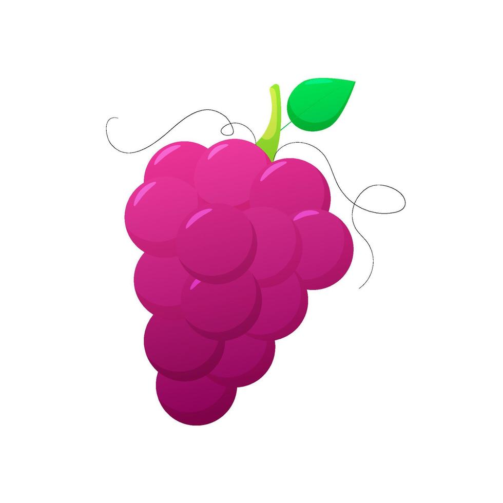 Cartoon grape for kids vector