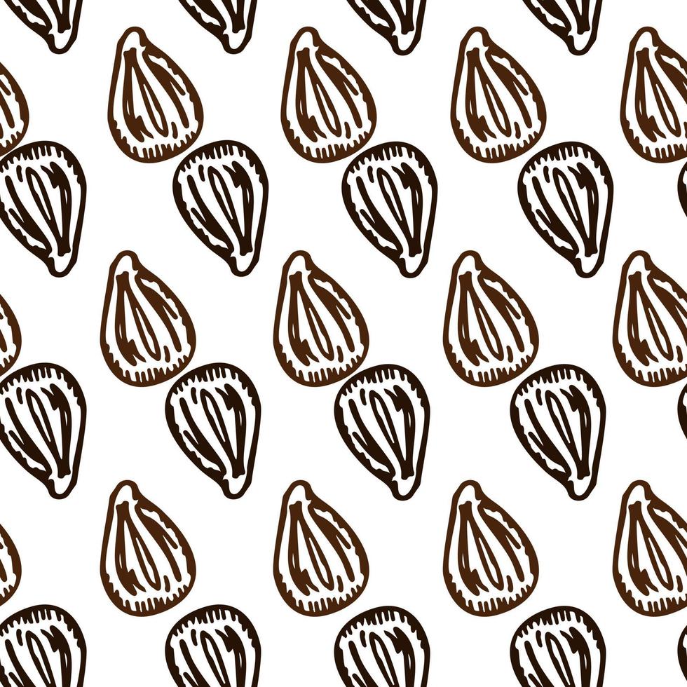 semillas grabadas de patrones sin fisuras. granos de plantas de fondo vintage en estilo dibujado a mano. boceto botánico. vector