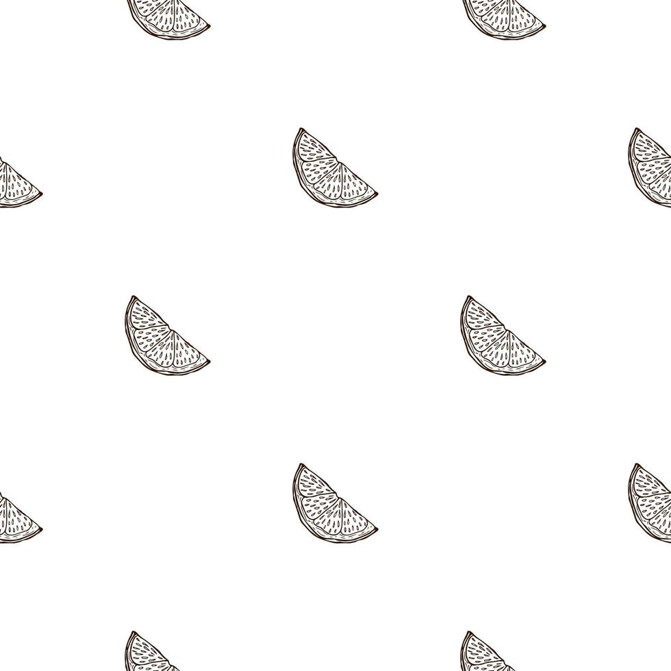 Seamless pattern engraved slice lemon. Vintage background piece lemon or lime in hand drawn style. vector