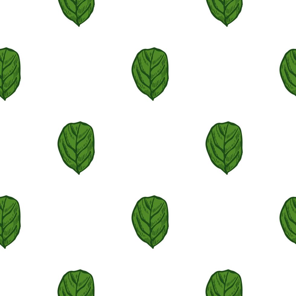 Seamless pattern engraved tree leaves. Vintage background botanical with foliage in hand drawn style. vector