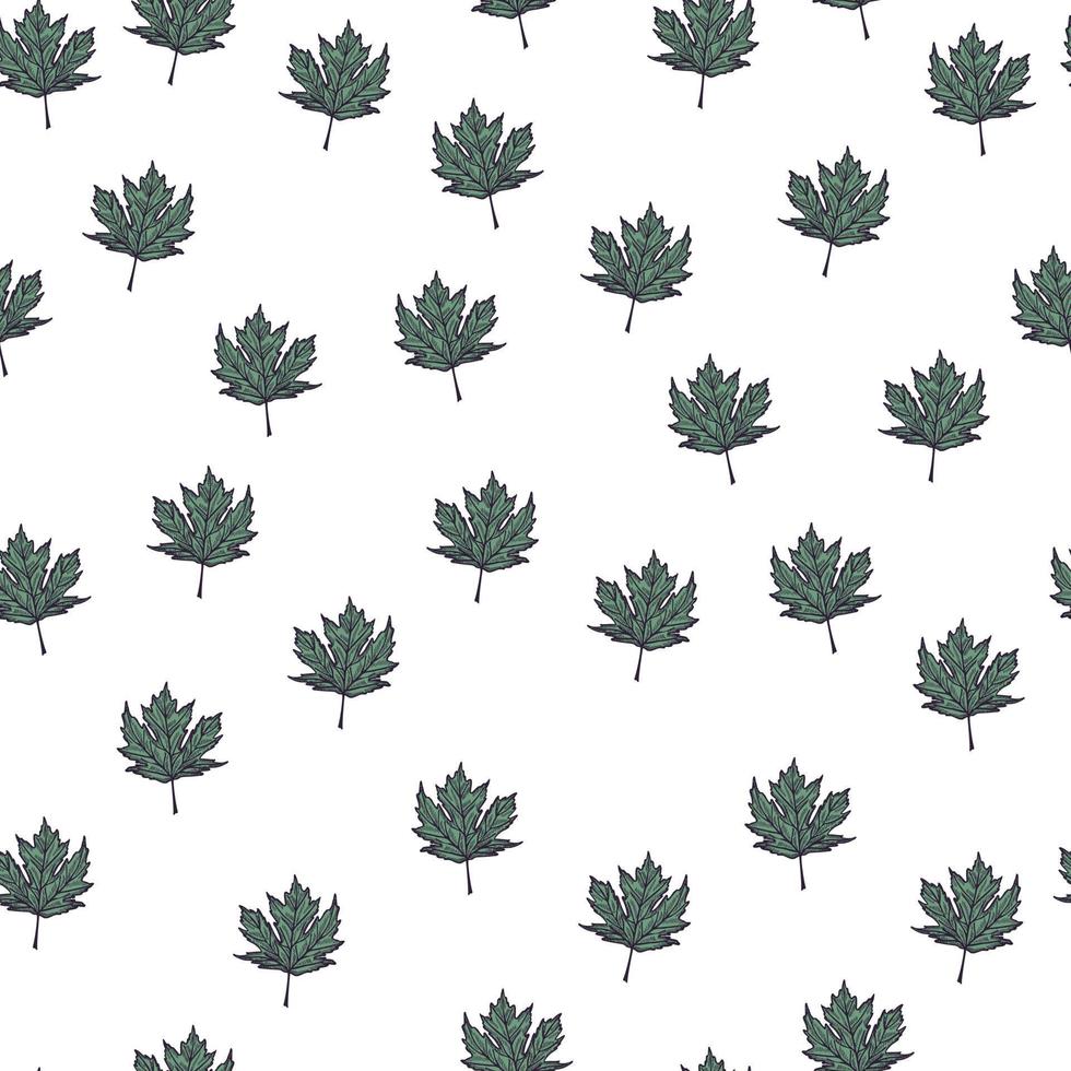 Leaves maple canadian engraved seamless pattern. Vintage background botanical with foliage in hand drawn style. vector