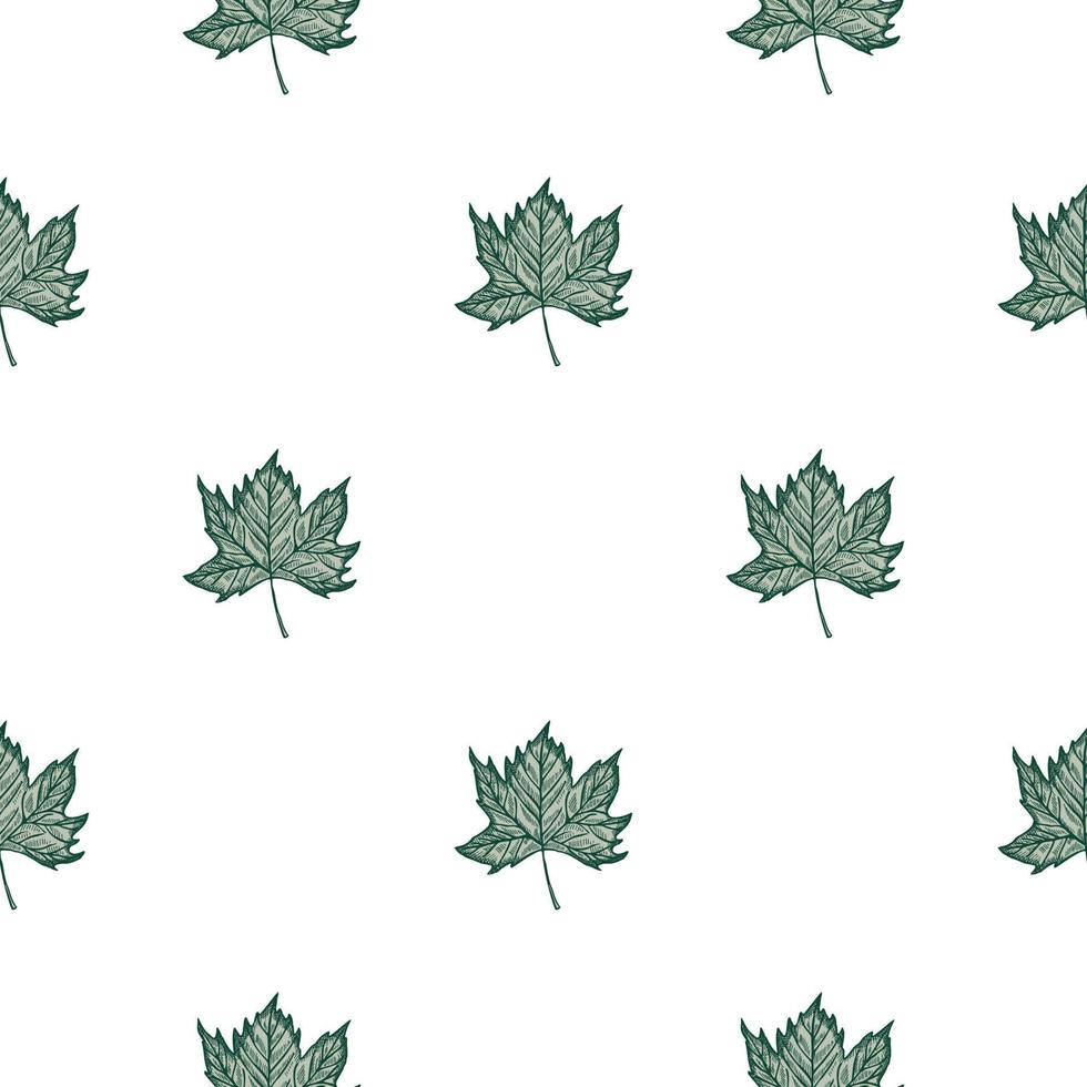 Leaves maple engraved seamless pattern. Vintage background botanical with canadian foliage in hand drawn style. vector