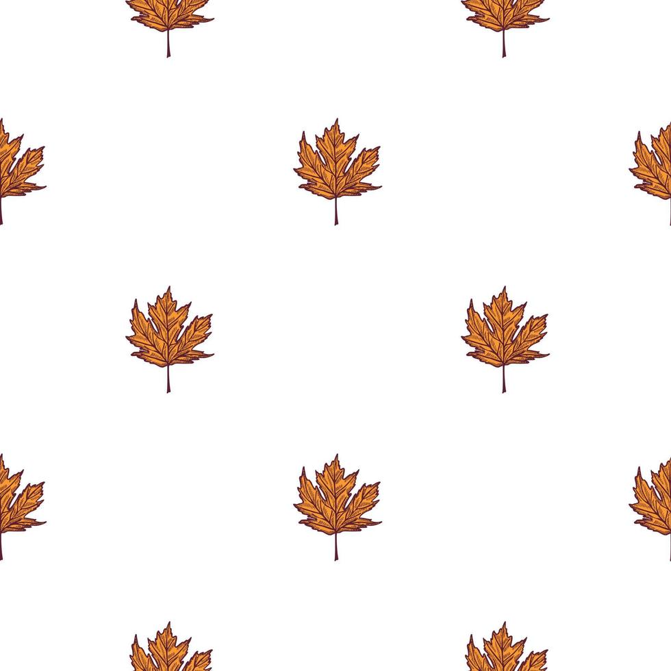Leaves maple canadian engraved seamless pattern. Vintage background botanical with foliage in hand drawn style. vector