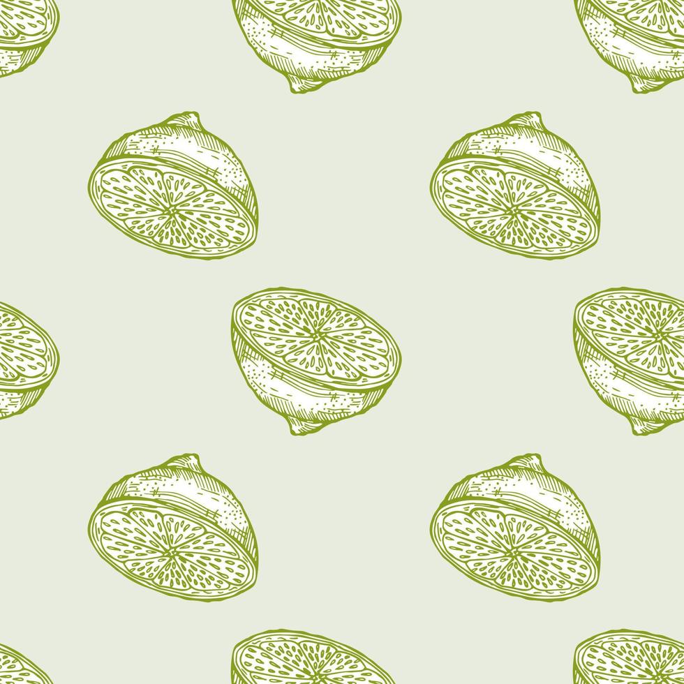 Seamless pattern lemon half engraving. Vintage background of citrus fruits in hand drawn style. vector