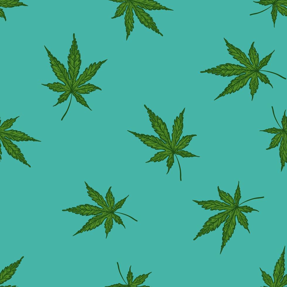 hojas de cannabis grabadas de patrones sin fisuras. fondo retro botánico con hoja de marihuana en estilo dibujado a mano. vector