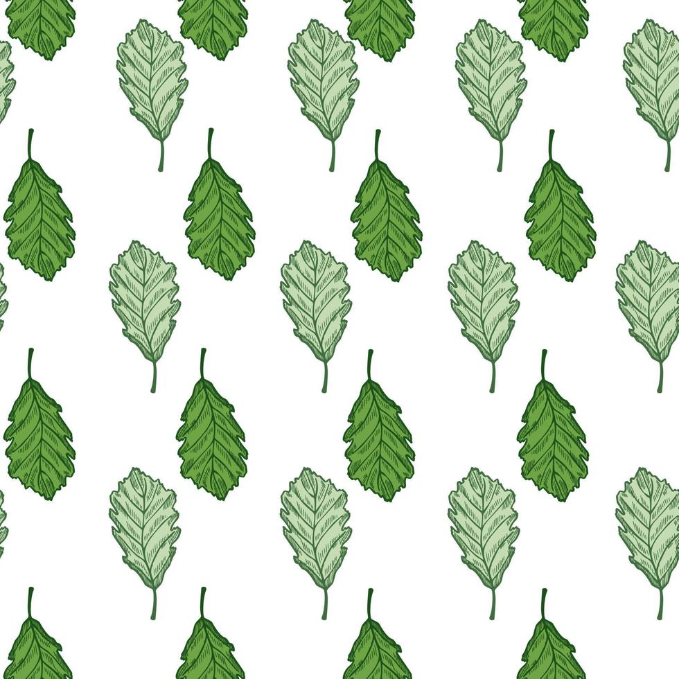 Leaves oak engraved seamless pattern. Vintage background botanical with forest foliage in hand drawn style. vector