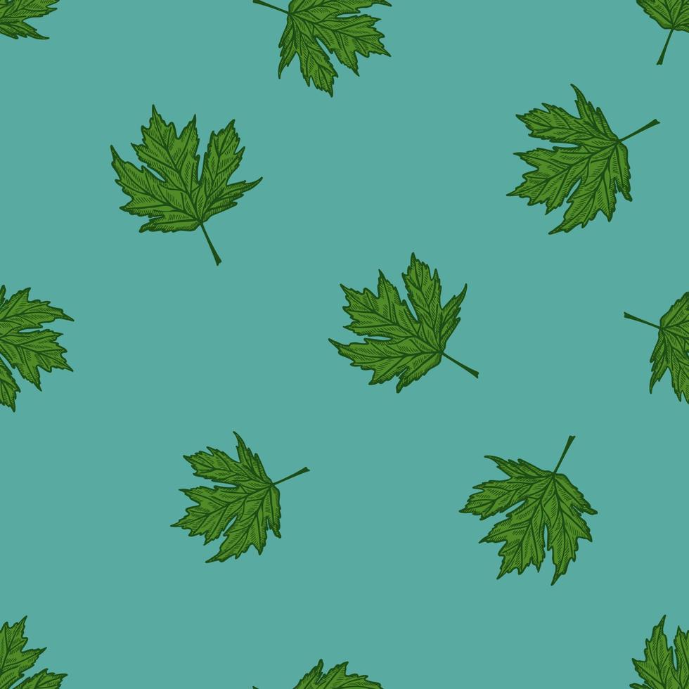Leaves maple canadian engraved seamless pattern. Vintage background botanical with foliage in hand drawn style. vector