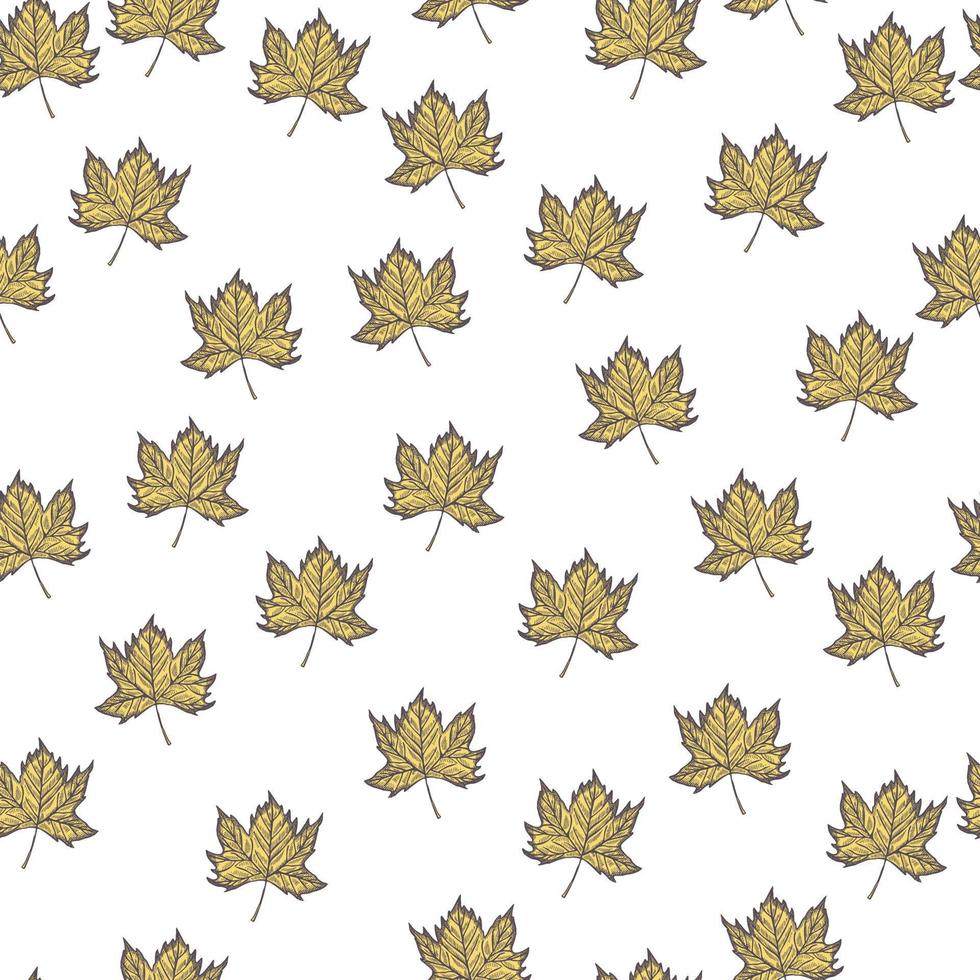 Leaves maple engraved seamless pattern. Vintage background botanical with canadian foliage in hand drawn style. vector