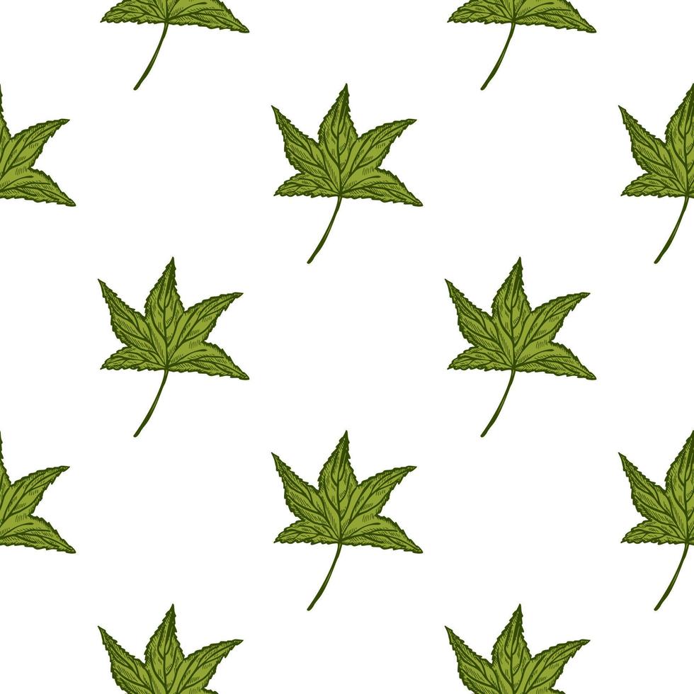 Engraved tree leaves seamless pattern. Vintage background botanical with foliage in hand drawn style. vector