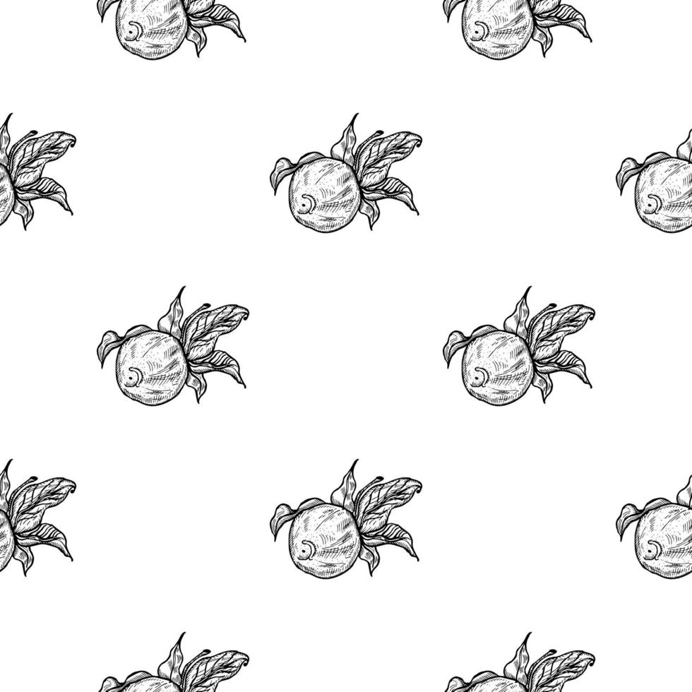 Seamless pattern engraved lemon on twig with leaves. Vintage background citrus fruit on branch in hand drawn style. vector