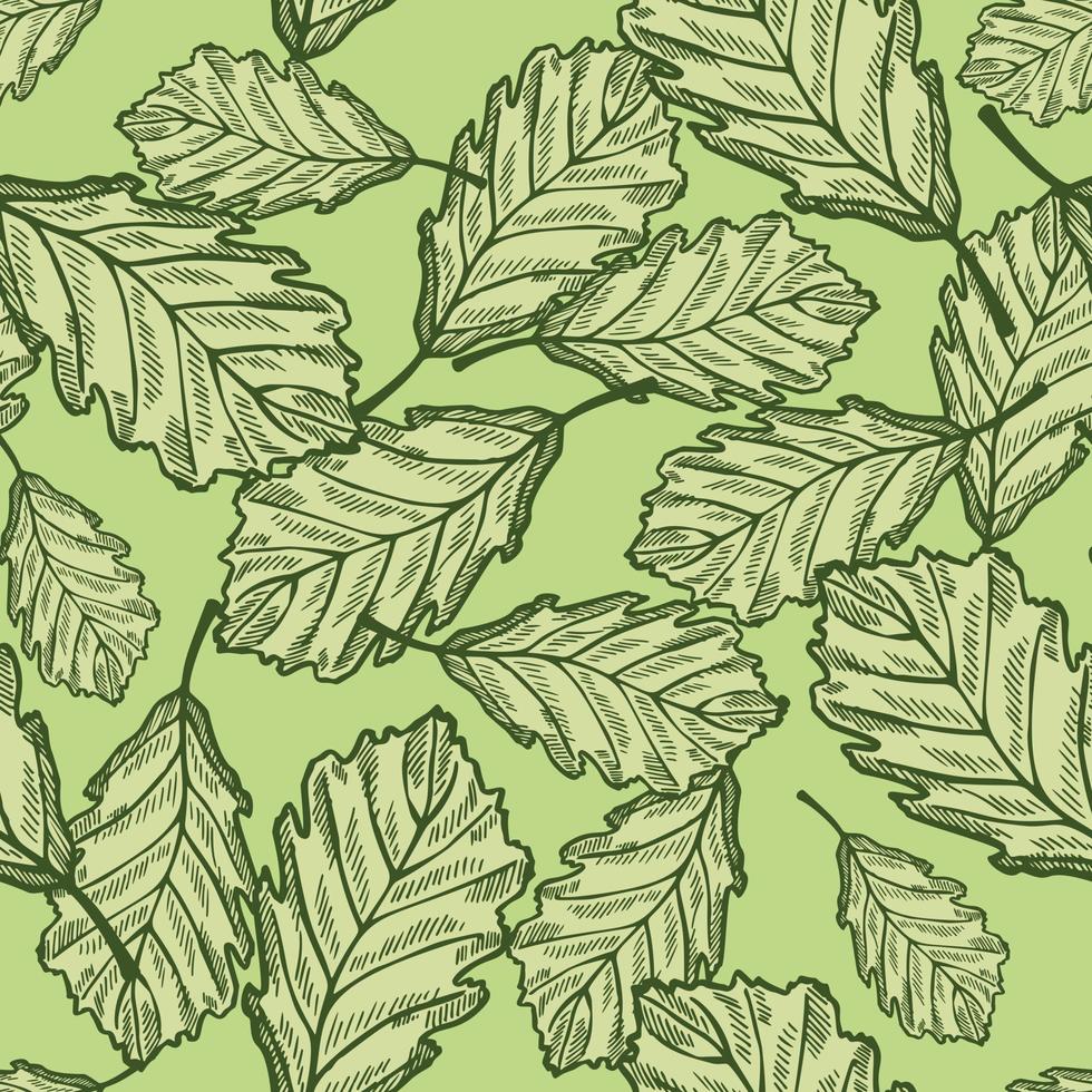 hojas de roble grabado de patrones sin fisuras. fondo vintage botánico con follaje forestal en estilo dibujado a mano. vector