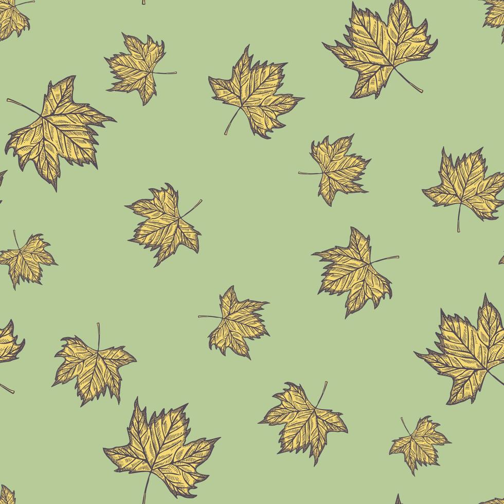 Leaves maple engraved seamless pattern. Vintage background botanical with canadian foliage in hand drawn style. vector