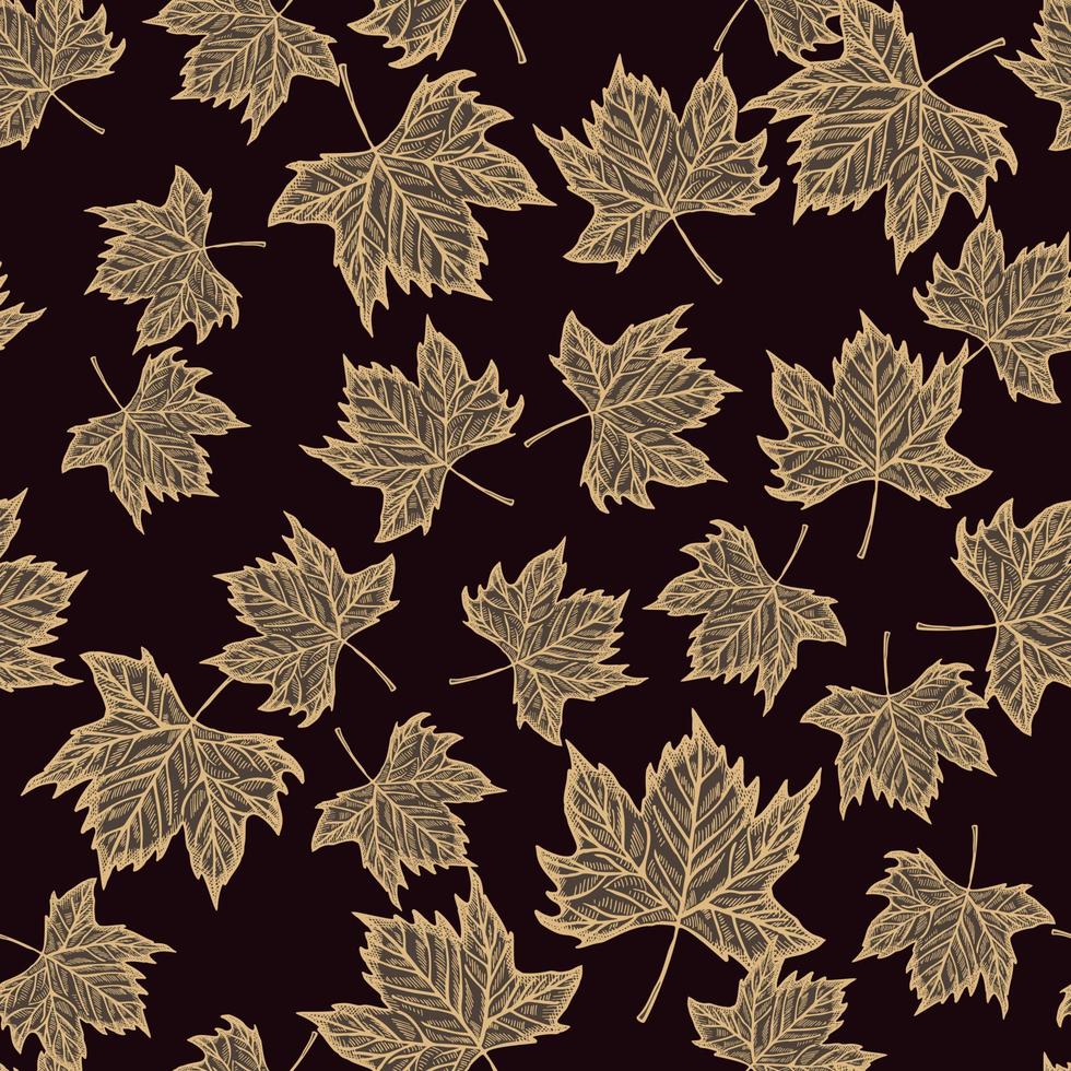 Leaves maple engraved seamless pattern. Vintage background botanical with canadian foliage in hand drawn style. vector