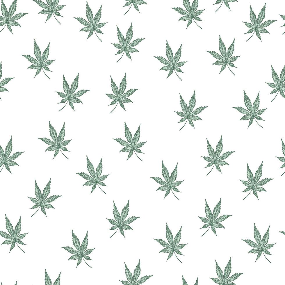 hojas de cannabis grabadas de patrones sin fisuras. fondo retro botánico con hoja de marihuana en estilo dibujado a mano. vector