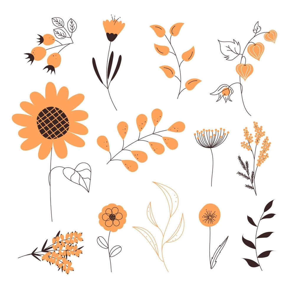 conjunto vectorial de flores y plantas en color naranja vector