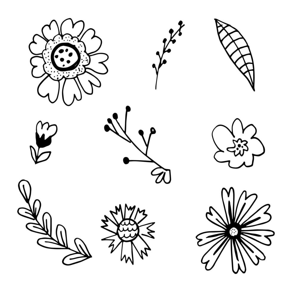 set funny doodle flowers vector