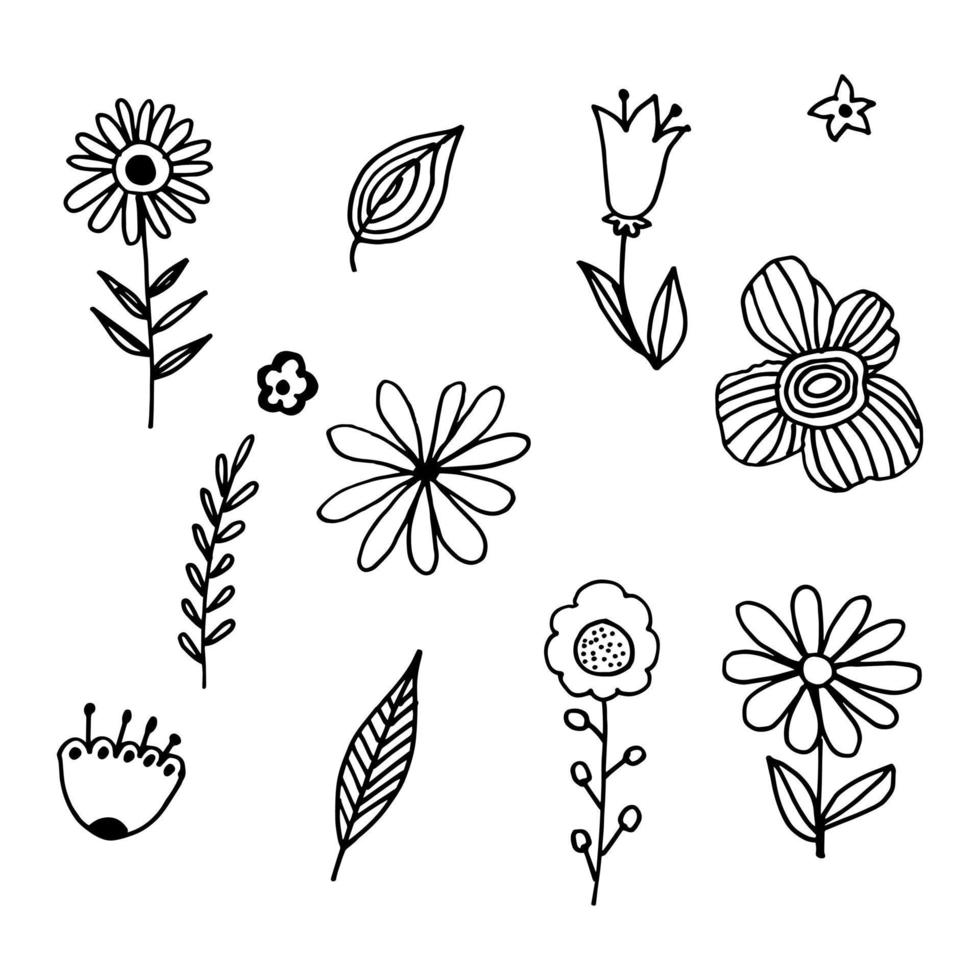 a set of funny doodles plants and flowers vector