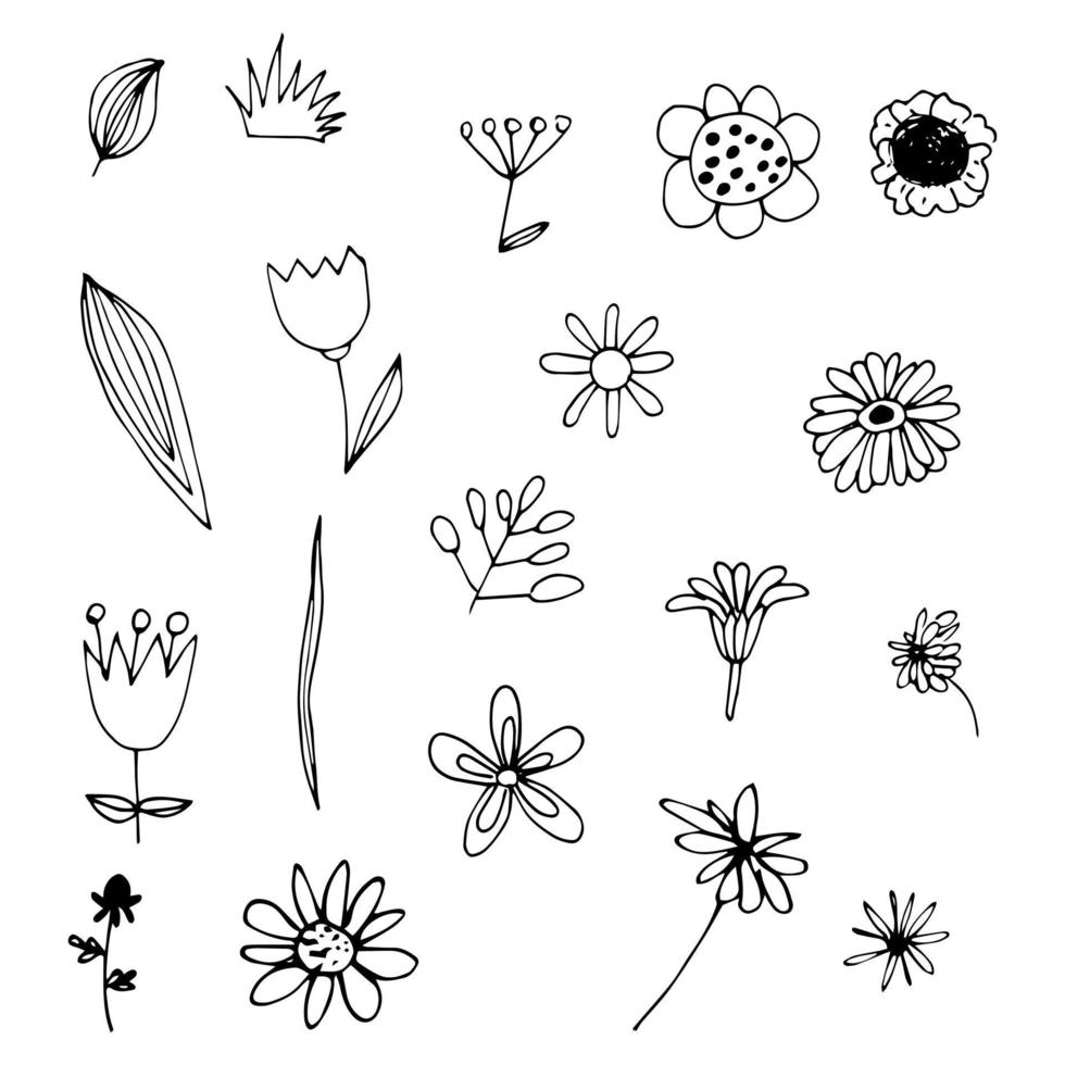 a set of funny doodles plants and flowers vector