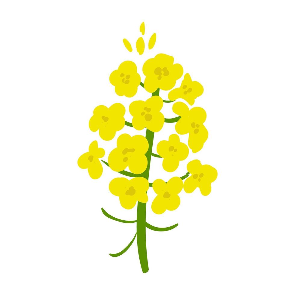Yellow Flower Lettering Illustration isolated on white background vector