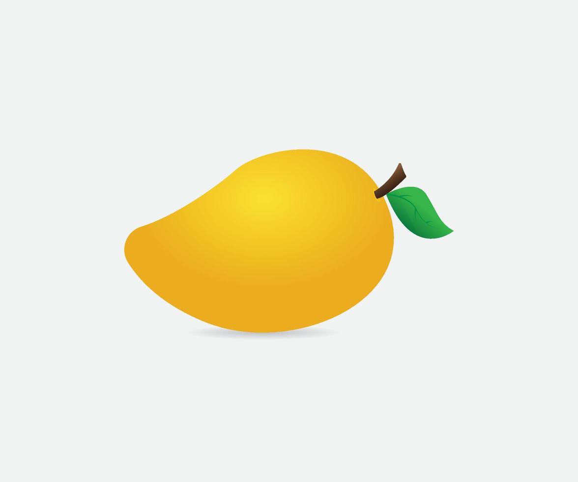 diseño de vector de fruta de mango fresco