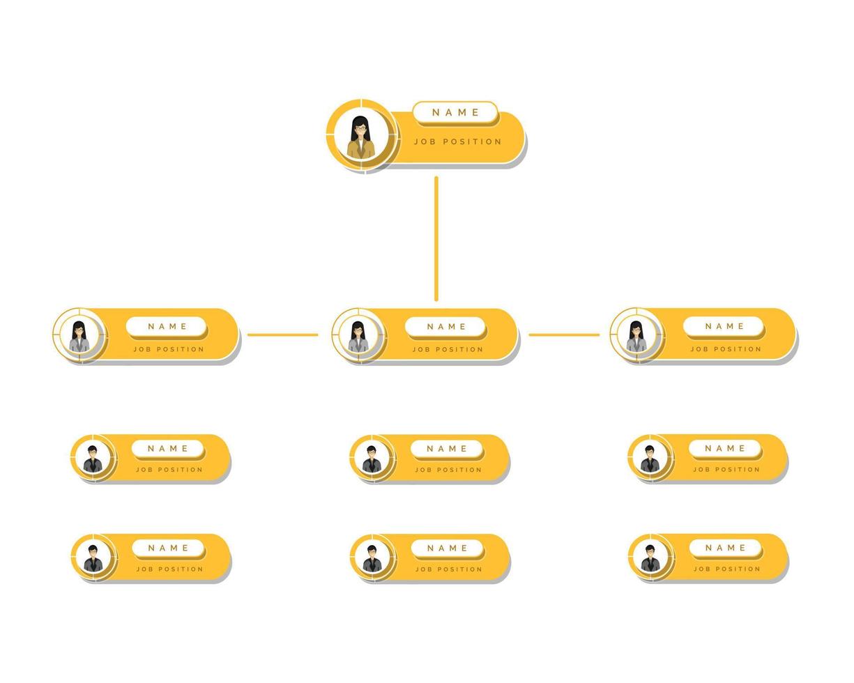 Organization chart infographic vector design