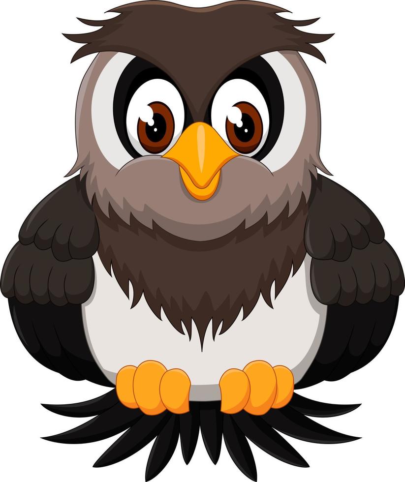 Cute owl cartoon vector