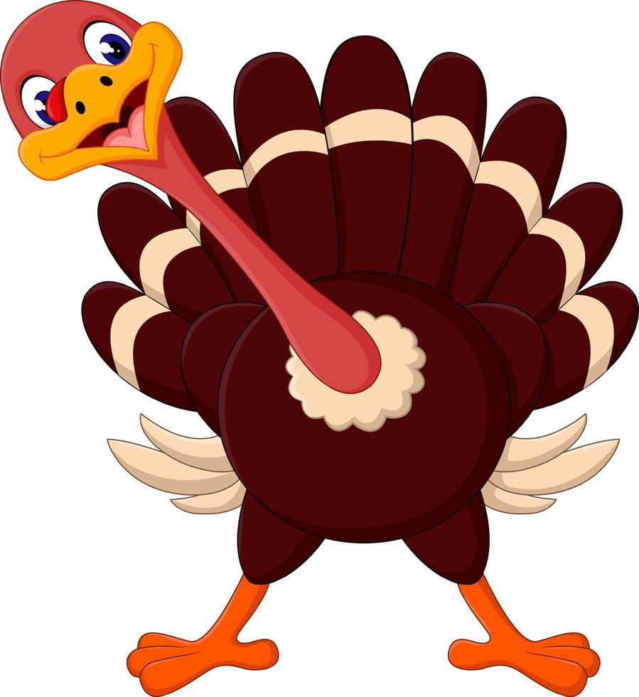 ute Cartoon turkey vector