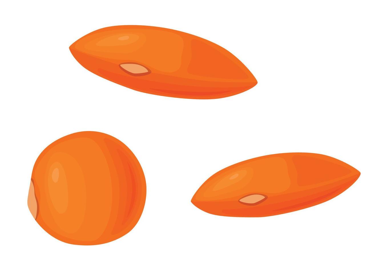 Orange lentil. Beans Icon. Vector illustration of legumes in cartoon flat style.