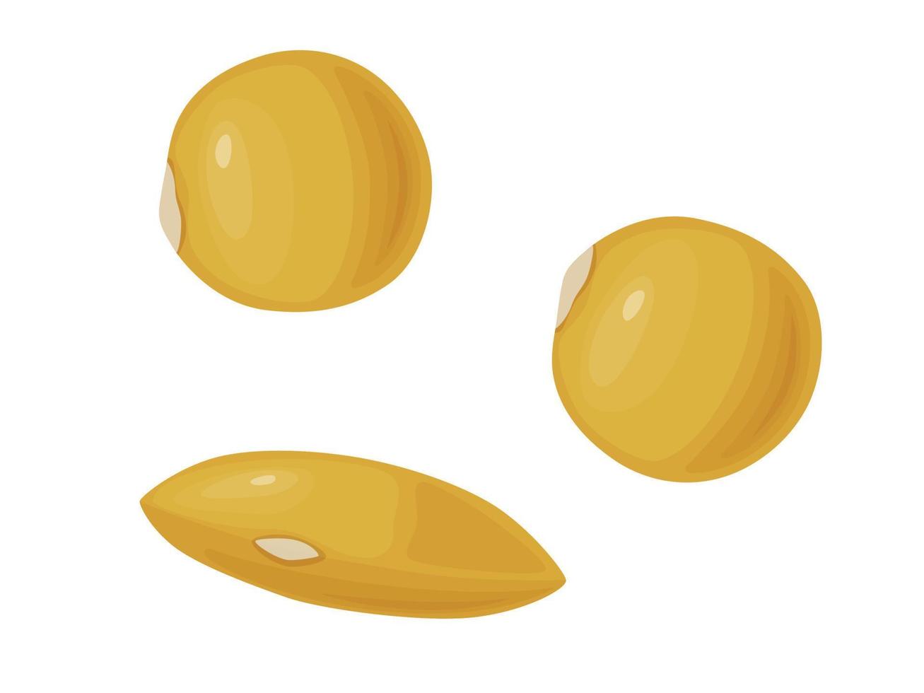 Yellow lentil. Beans Icon. Vector illustration of legumes in cartoon flat style.