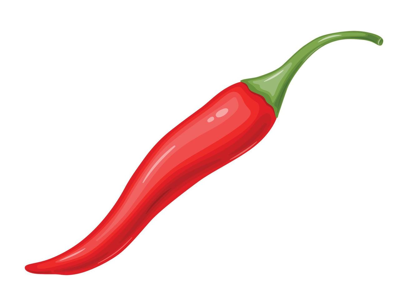 Red hot Chili pepper. Mexican traditional food. vector