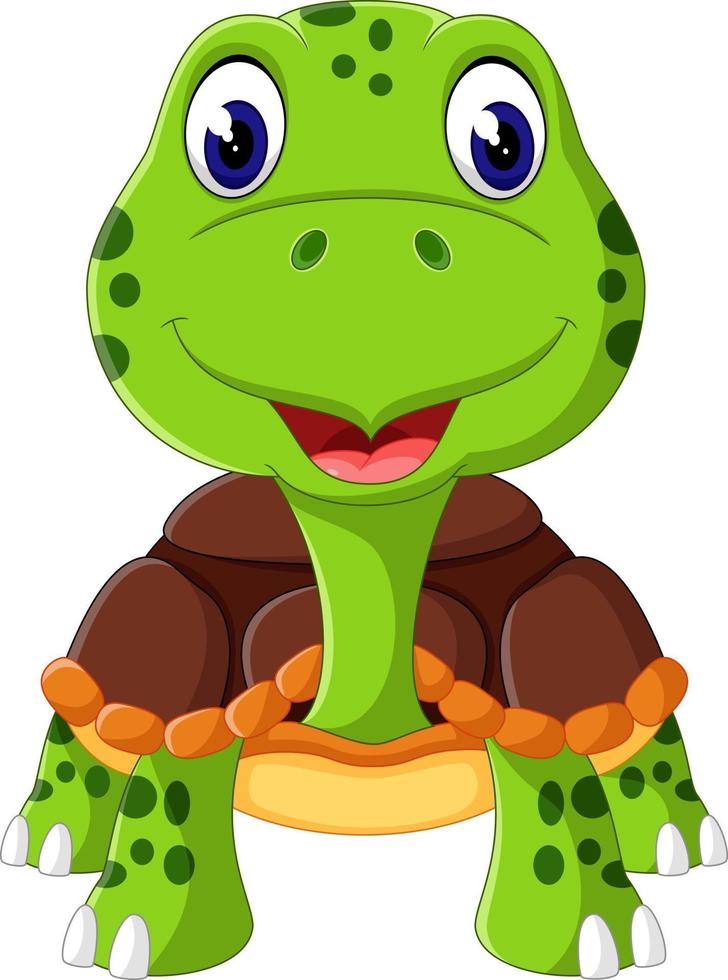 Cartoon funny turtle isolated on white background vector