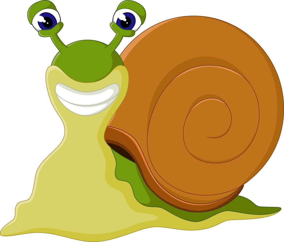 cute Snail cartoon vector