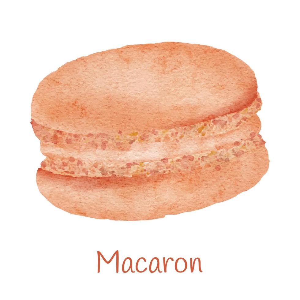 Watercolor sweet dessert macaron illustration vector