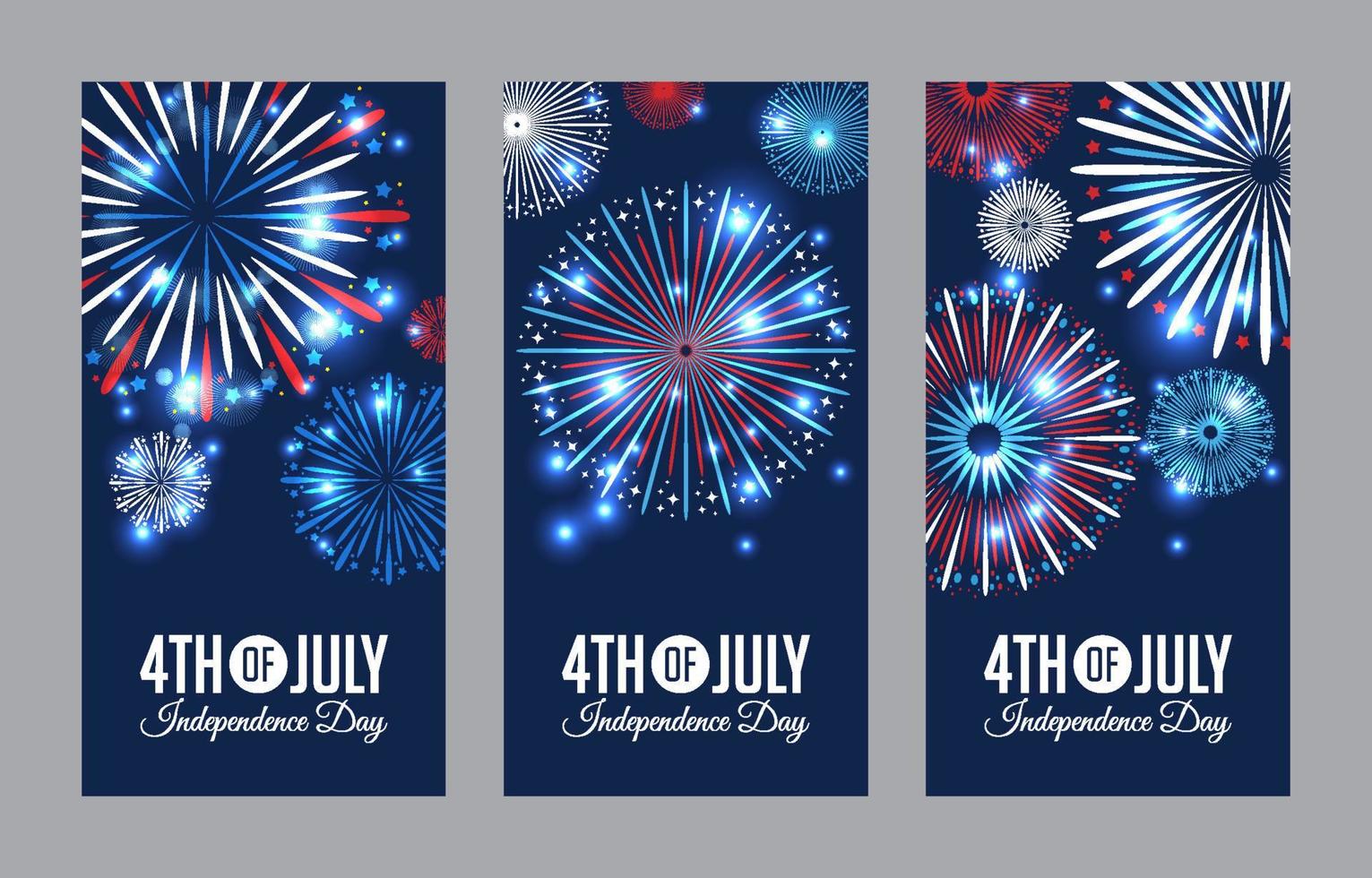 Firework in the Night Sky Banner Set vector