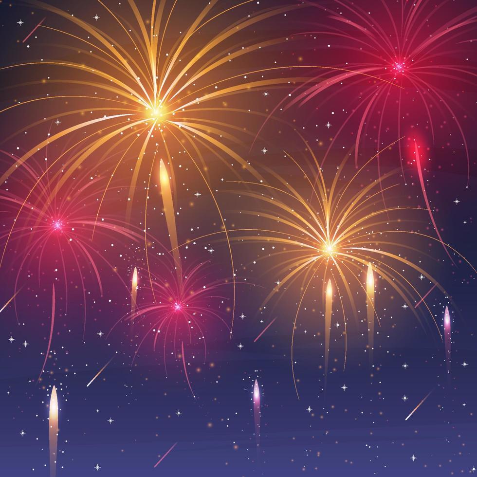 Wonderful Firework Background vector