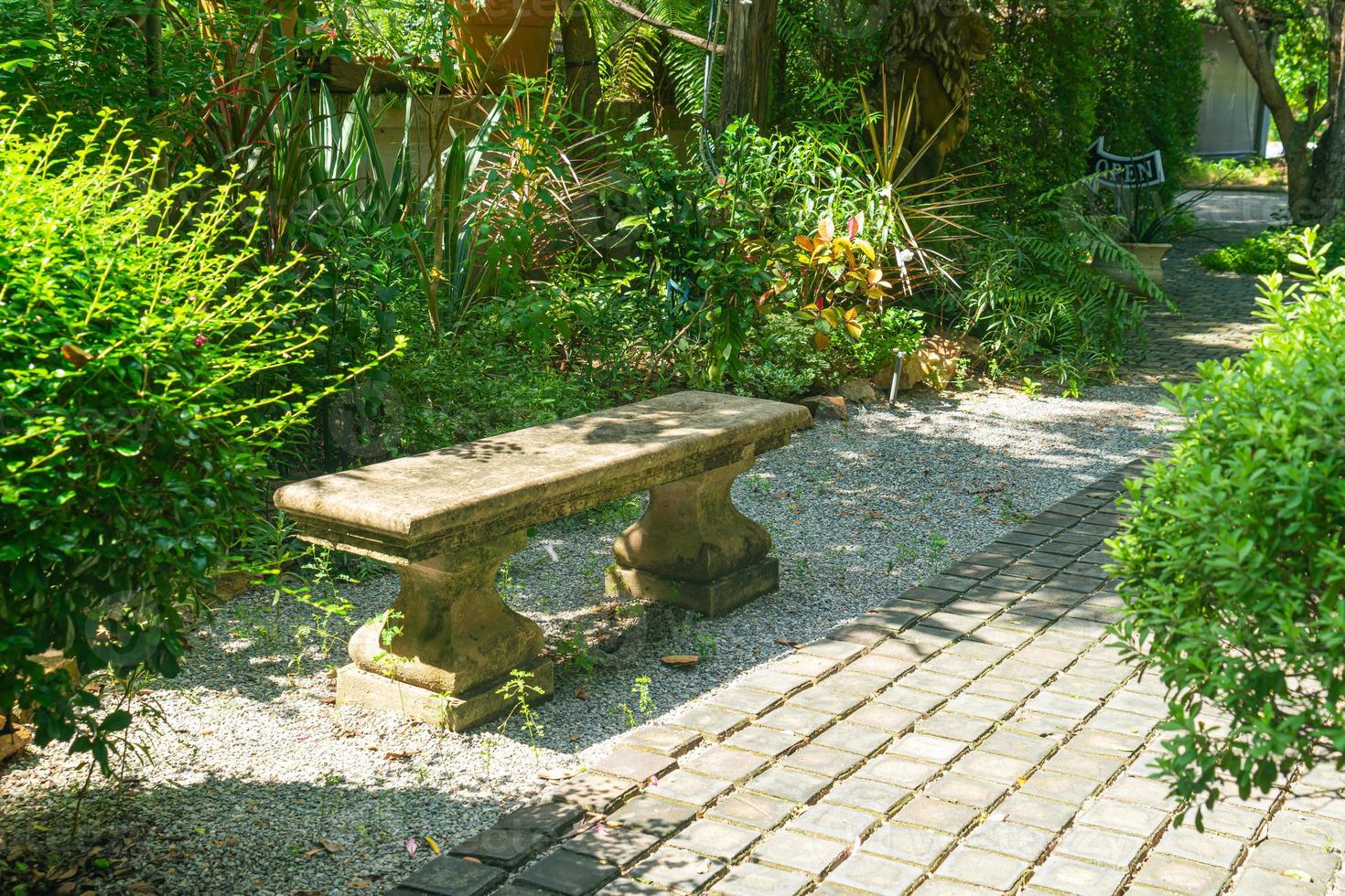 empty bench with tree in garden photo