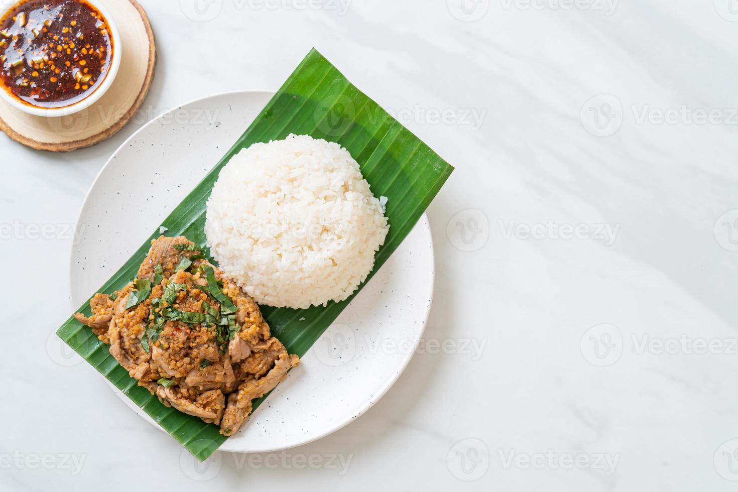 rice with grilled spicy pork and herb photo