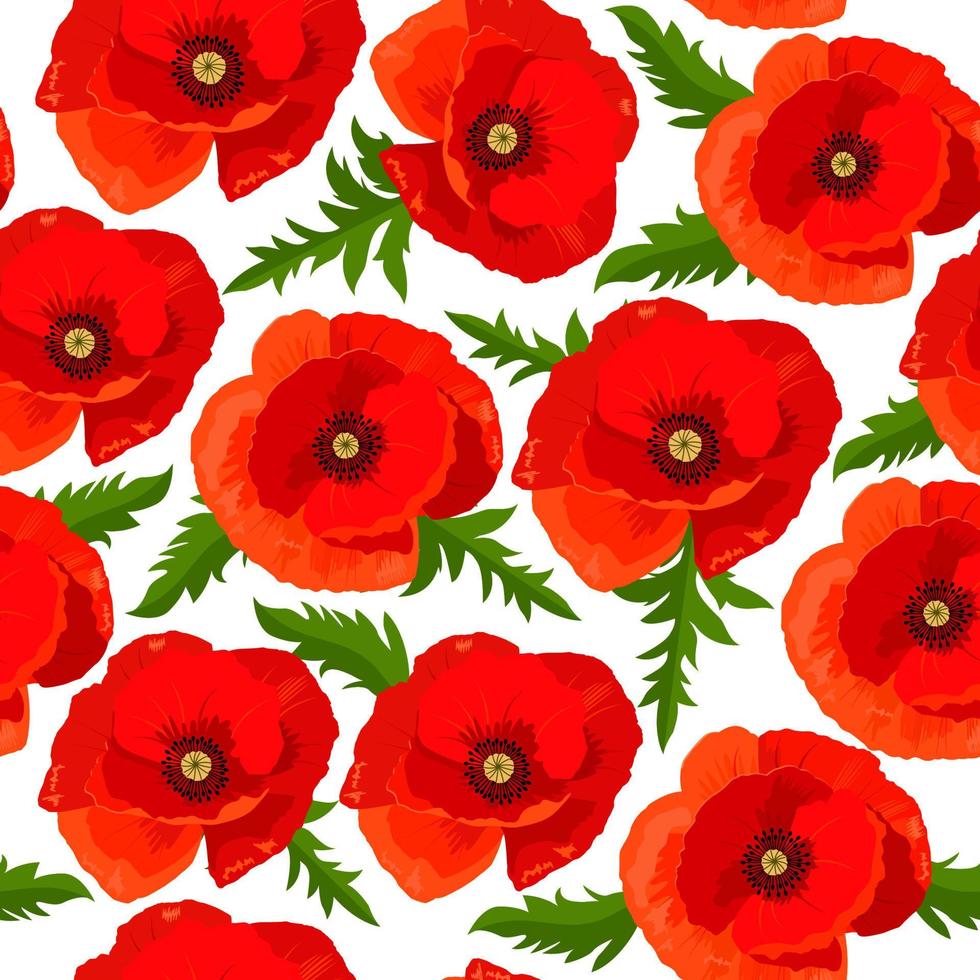 Seamless vector pattern with poppies flowers field.