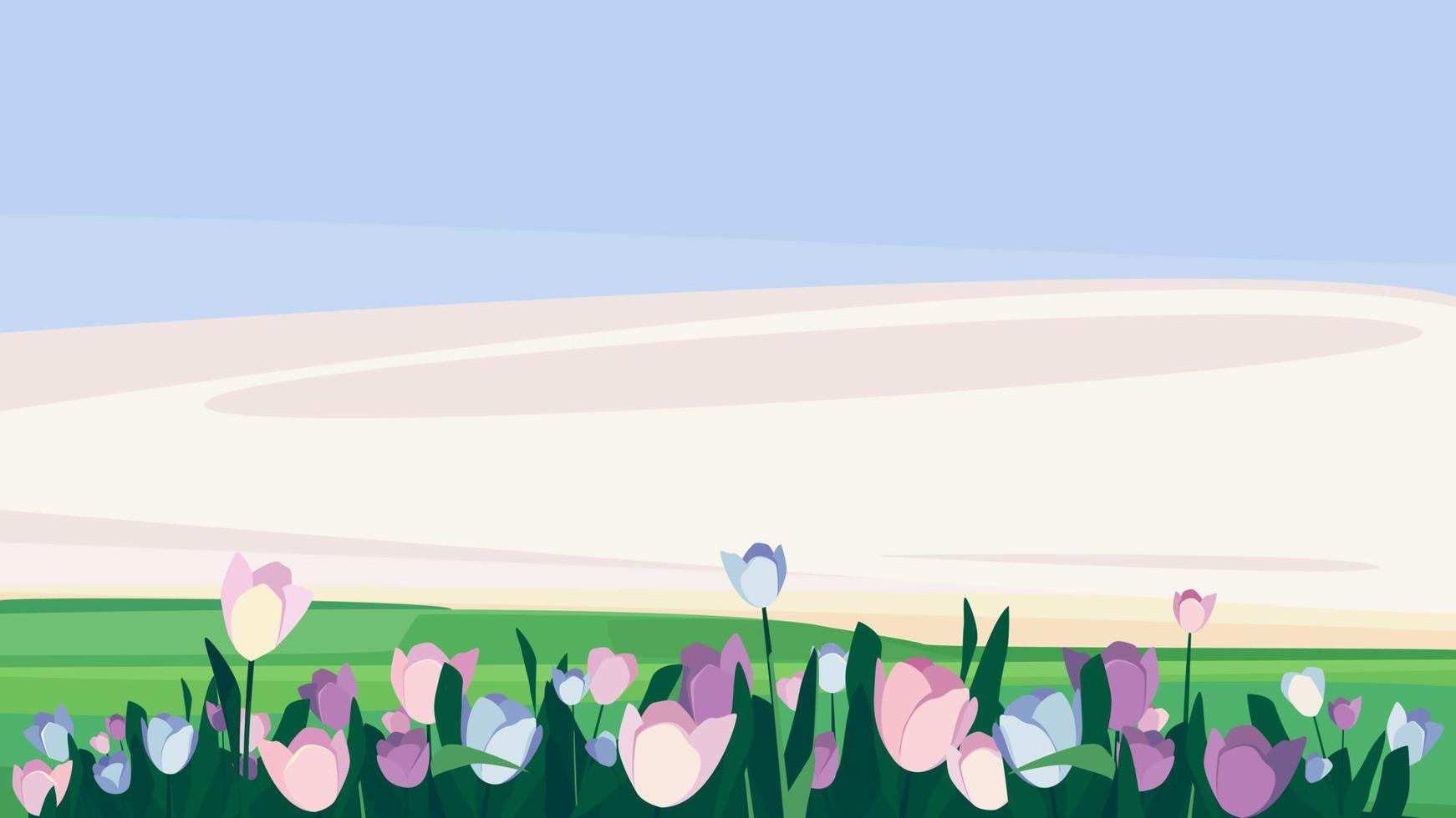 Purple tulips on the meadow. vector