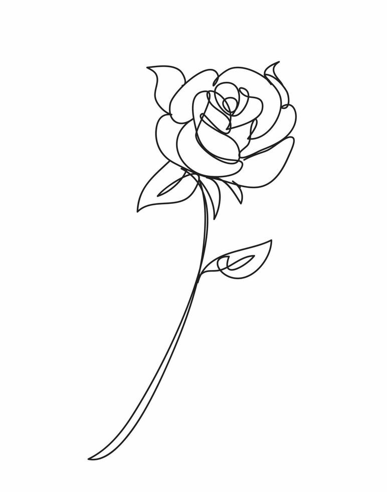 flor de rosa, estilo de dibujo lineal, diseño de arte vector