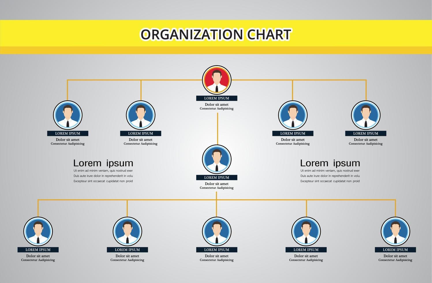 Organization Chart Infographics with People Icon and Abstract Line, Business Structure. vector