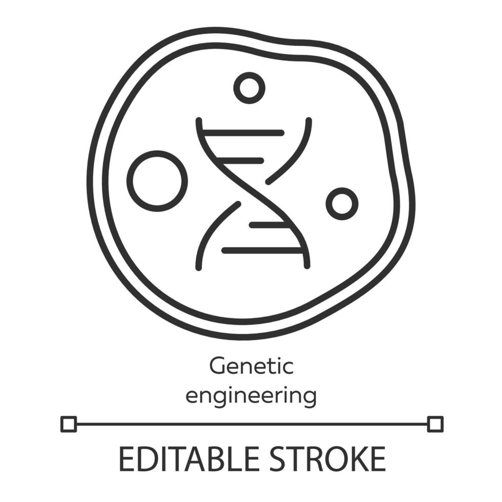 icono lineal de ingeniería genética. Manipulación de genes mediante biotecnología. célula viva del cuerpo. modificación del genoma. ilustración de línea delgada. símbolo de contorno dibujo de contorno aislado vectorial. trazo editable vector