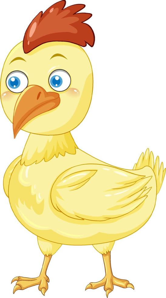 pollo amarillo en diseño de dibujos animados vector