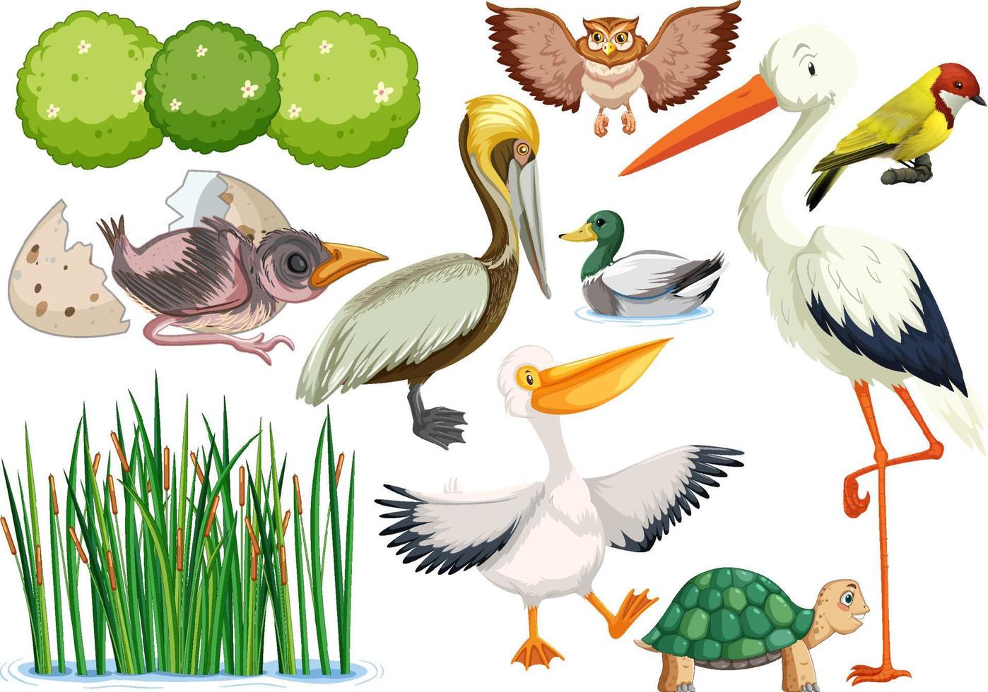 Different kinds of wild animals collection vector