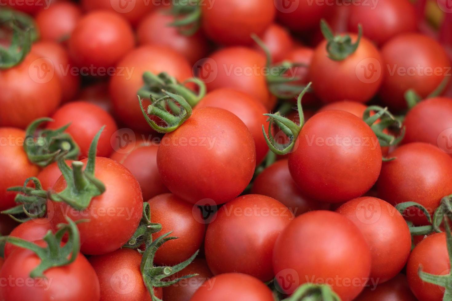 Fresh red tomato fruits background. photo