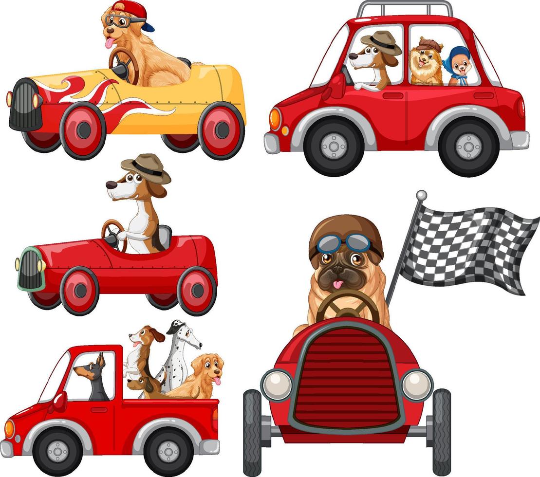 Dogs in different red cars set vector